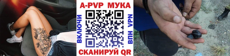 APVP VHQ  мориарти клад  Богданович 