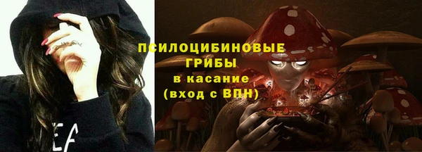 спайс Корсаков