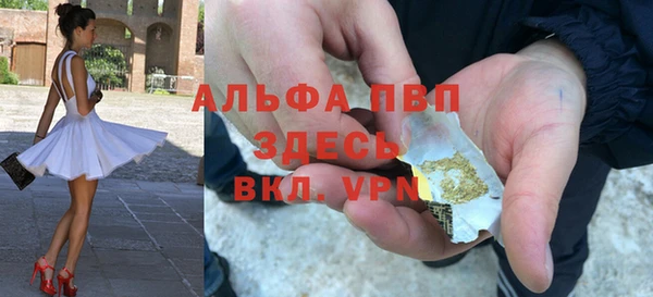 СК Коряжма