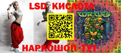 шишки Апшеронск