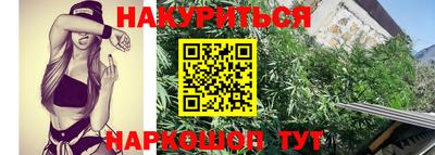 шишки Апшеронск