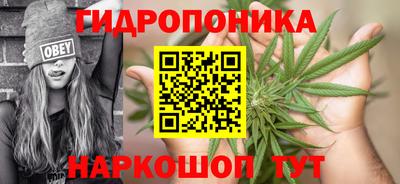 крисы Апшеронск