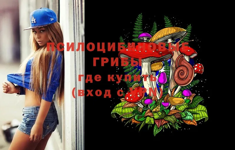 Галлюциногенные грибы Magic Shrooms  где найти   Богданович 