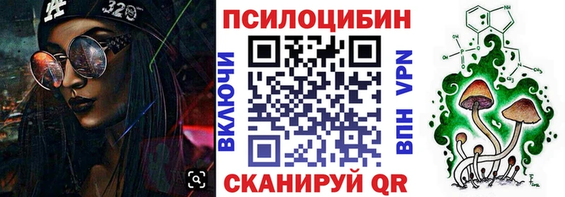 Псилоцибиновые грибы мицелий  где купить наркоту  Богданович 