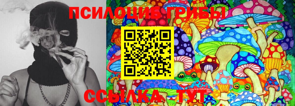Псилоцибиновые грибы прущие грибы  Псилоцибиновые грибы Cubensis  Богданович  Вход с VPN 